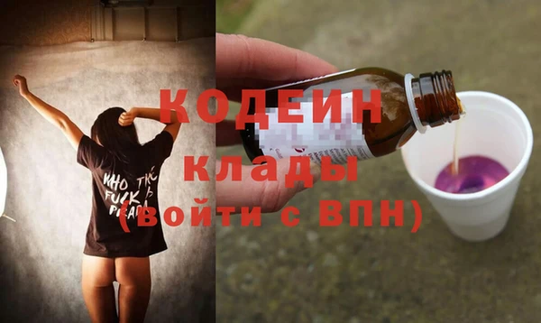 индика Краснослободск