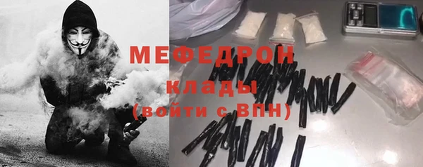 индика Краснослободск