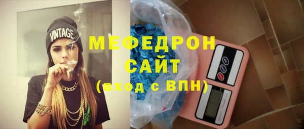 индика Краснослободск
