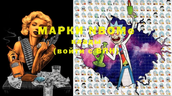 PSILOCYBIN Кулебаки