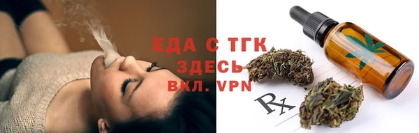 индика Краснослободск