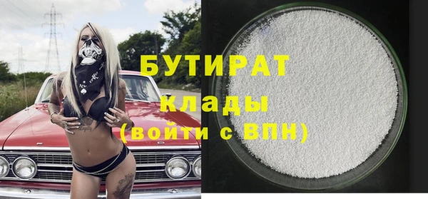 индика Краснослободск