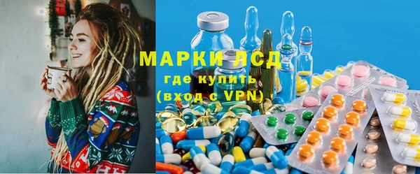 индика Краснослободск