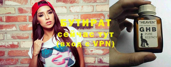 индика Краснослободск