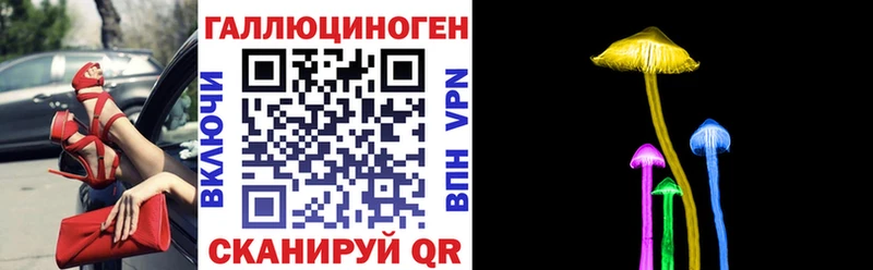 Псилоцибиновые грибы GOLDEN TEACHER Димитровград