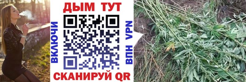продажа наркотиков  Димитровград  Каннабис THC 21% 